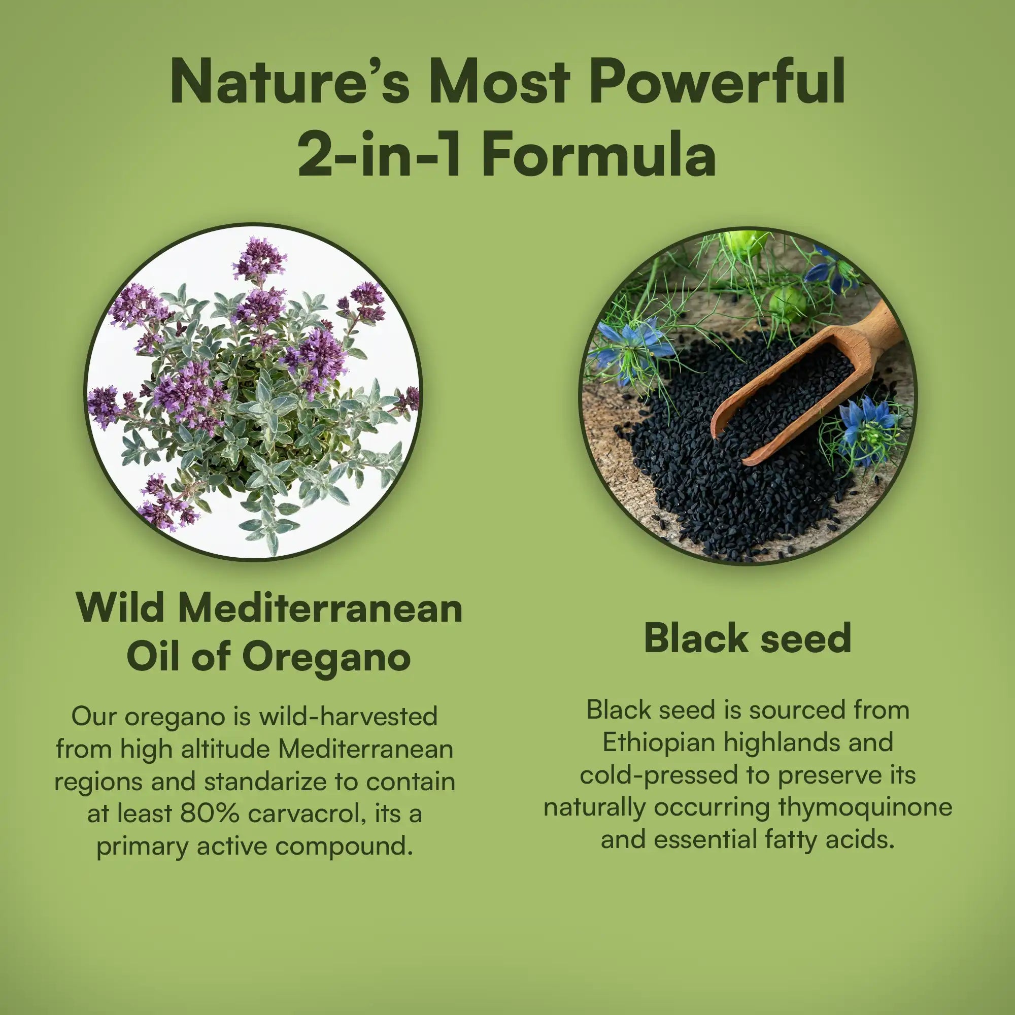 Oil of Oregano Softgel Capsules